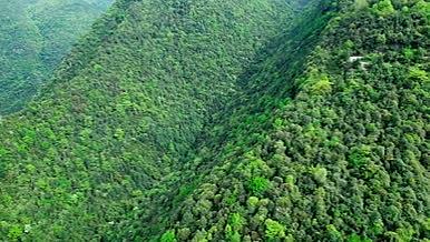 4k航拍夏季绿色山林植被自然风光视频的预览图